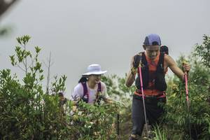 BIB: 
                            <button type="button" onclick="openModal(24737076)" class="btn btn-primary btn-sm float-right btn-popup" data-toggle="modal" data-target=".modal-high-quality">
                        <i class="fas fa-shopping-cart"></i> Add to Cart
                    </button>
                                            <button type="button" onclick="isThisMe(24737076, true)" class="btn btn-success btn-sm float-right btn-popup btn-isme hidden" data-toggle="tooltip" data-placement="bottom" title="นี่คือรูปของคุณใช่ไหม คลิกที่นี่เพื่อเอาเข้าอัลบั้ม">
                        <i class="fas fa-plus"></i> Add to album
                    </button>
                    <button type="button" onclick="isThisMe(24737076, false)" class="btn btn-warning btn-sm float-right btn-popup btn-isnotme hidden">
                        <i class="fas fa-ban"></i> Remove from album
                    </button>